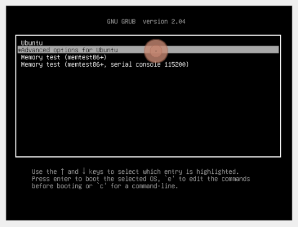 Click 'Advance options for Ubuntu'