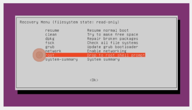 Recovery Menu of maintenance choices