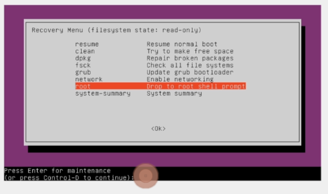Prompt message to:
Press Enter for maintenance
or
press Ctrl+D to continue